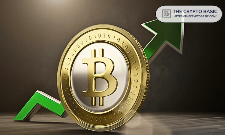 Image Owned By The Crypto Basic. Logo Displayed In The Image Are Owned By Respective Crypto Project